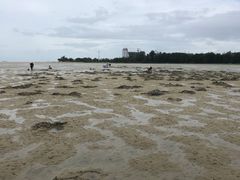 -北海金海湾红树林生态旅游区