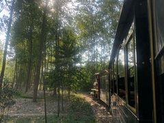 -合肥滨湖国家森林公园