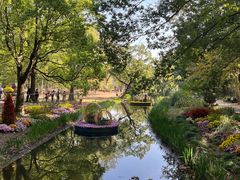 -上海共青森林公园