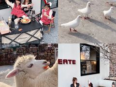 -J Create城市露营咖啡·简餐·宠物(上海动物园店)