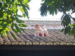 -白帝城·瞿塘峡景区