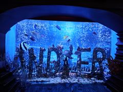 -太平洋海底世界