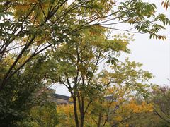 -茅山东方盐湖城景区