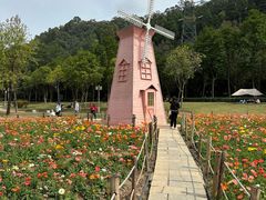 -顺峰山公园