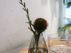 -gaga(深圳南山益田假日广场店)