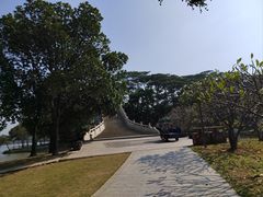 -顺峰山公园