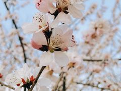 -大瓦窑(地铁站)