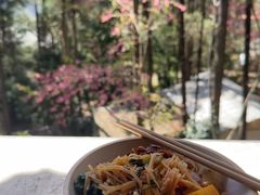 -寂照庵