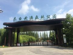 -黄海国家森林公园