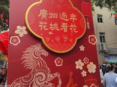 -越秀西湖花市(广州城市广场花卉店)