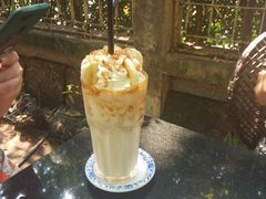 -Fern Forest Cafe