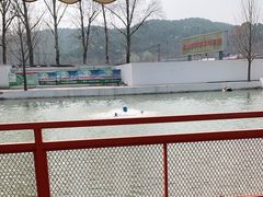 -向外鱼乐·土菜·虹鳟鱼
