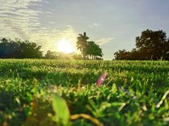 -平安（深圳）金融教育培训中心