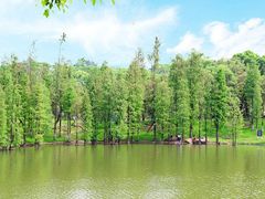 -番禺大夫山森林公园