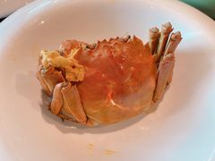 清蒸大闸蟹-蟹榭·本帮江浙菜·蟹宴(五角场合生汇商场店)