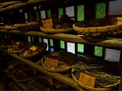 -陈李济中药博物馆