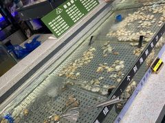 -圣罗巴海鲜自助(黑金店)
