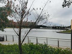 -翠山·映月湖景餐厅(映月湖公园店)