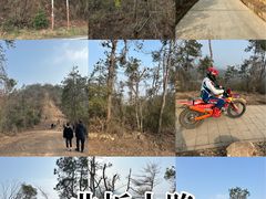 -青龙山国家森林公园