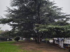 -秦始皇帝陵博物院(兵马俑)