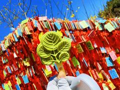 -香山公园