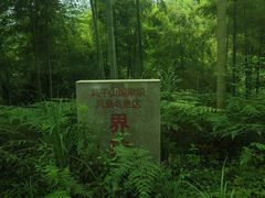 -莫干山风景区