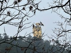 -南山植物园