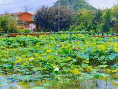 -贵阳蓬莱仙界