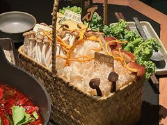 -大龙燚·旷野鲜火锅(广州首店)