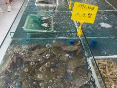 -春华海鲜城(广场西苑店)