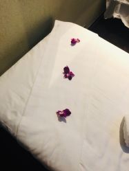 -禾颜社·精致美容