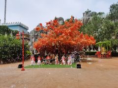 -郑州方特梦幻王国