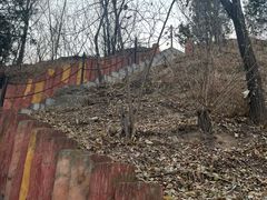 -森林公园(尖草坪区)