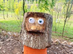 -神光山国家森林公园