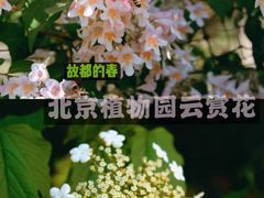 -国家植物园