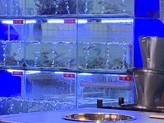 -石锅苗苗鱼(武汉首店)