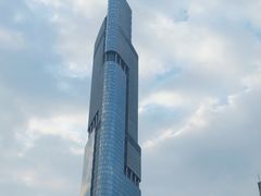 -紫峰大厦