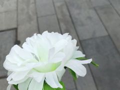 -侵华日军南京大屠杀遇难同胞纪念馆