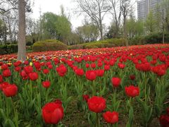 -廊坊文化艺术中心