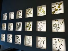 -予厘·推拿按摩·精油SPA(憩舍长安店)