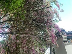 -深圳国际园林花卉博览园