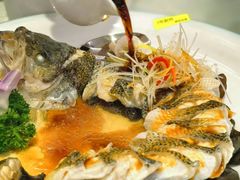 清蒸鲜鲈鱼-博雅渔港·融合菜(维也纳国际大酒店)