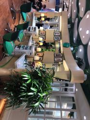 -艺米阳光Hair Salon