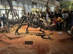 -自贡恐龙博物馆