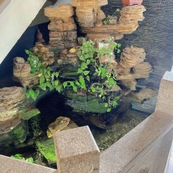 -红馆·发喆院