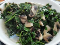 枸杞头炒蘑菇-长廊好灶头 本地人农家菜(枫泾古镇店)