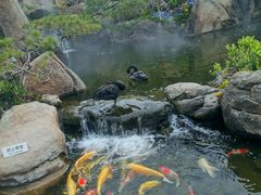 -罗红摄影艺术馆