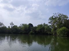 -西溪国家湿地公园