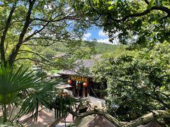 -兴福老面馆(寺路街店)