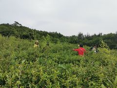 -云河农家乐饭店(福禄缘树山店)